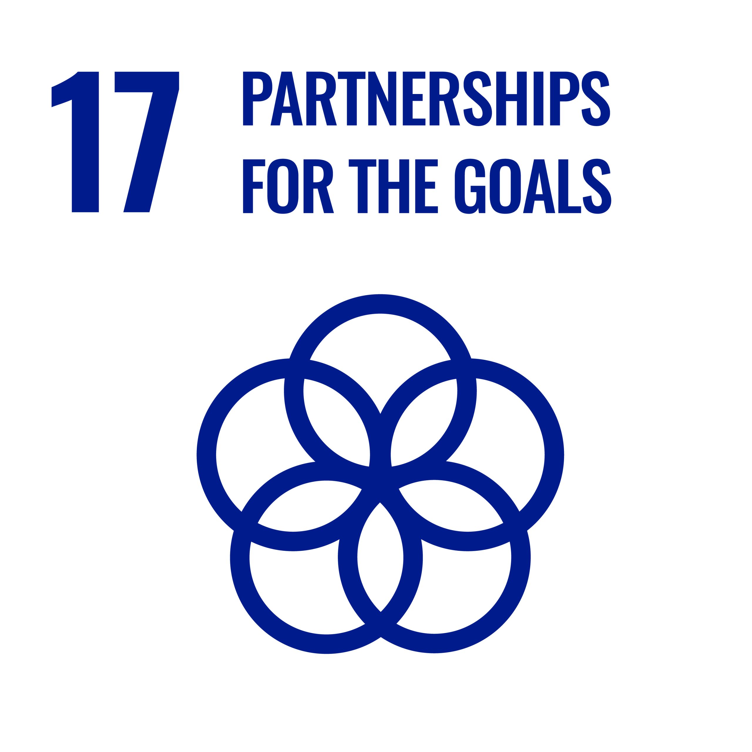 Partnerships For The Goals 17 Scaled